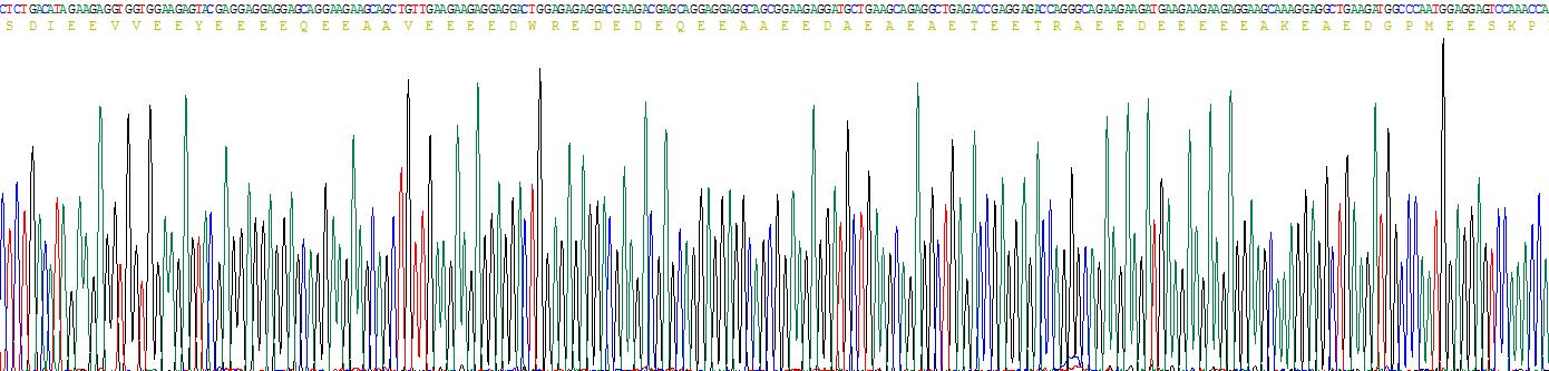 Recombinant Troponin T Type 2, Cardiac (TNNT2)