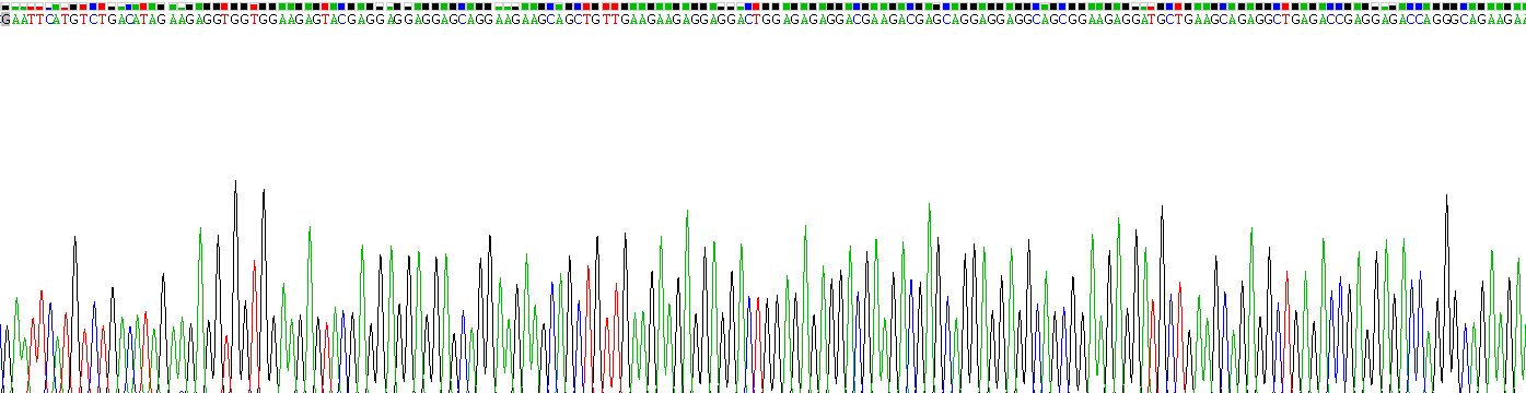 Recombinant Troponin T Type 2, Cardiac (TNNT2)