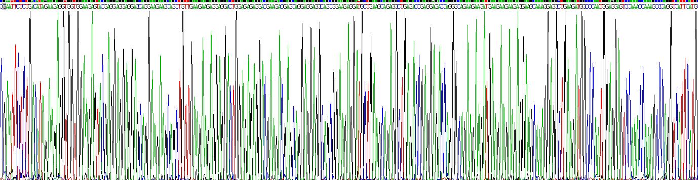 Recombinant Troponin T Type 2, Cardiac (TNNT2)