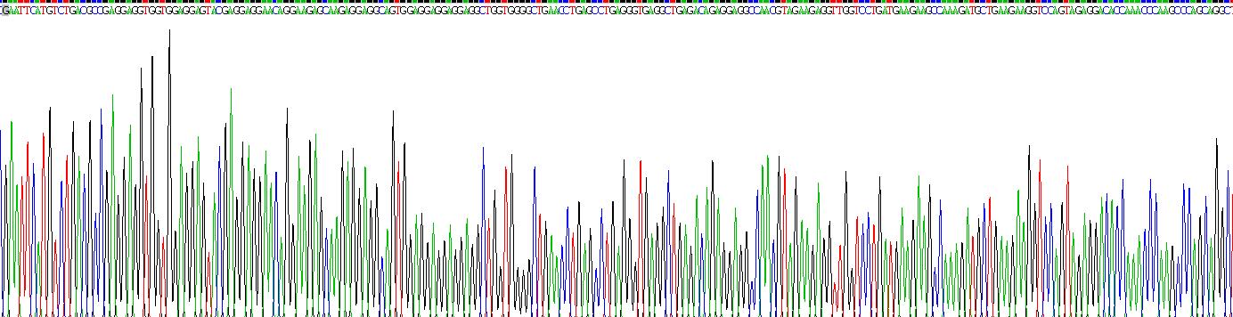 Recombinant Troponin T Type 2, Cardiac (TNNT2)