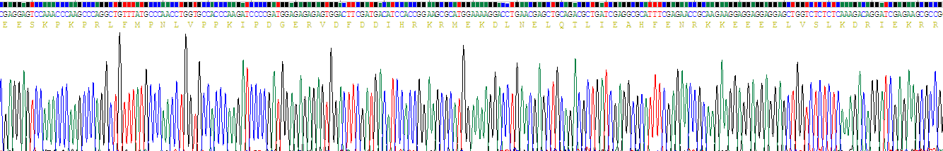 Recombinant Troponin T Type 2, Cardiac (TNNT2)