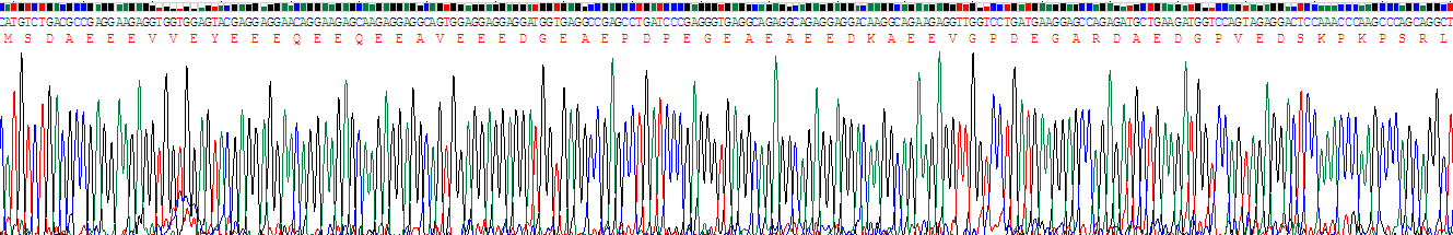 Recombinant Troponin T Type 2, Cardiac (TNNT2)