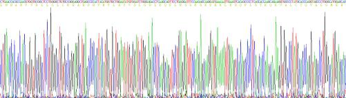 Recombinant Tyrosine Protein Kinase 7 (PTK7)