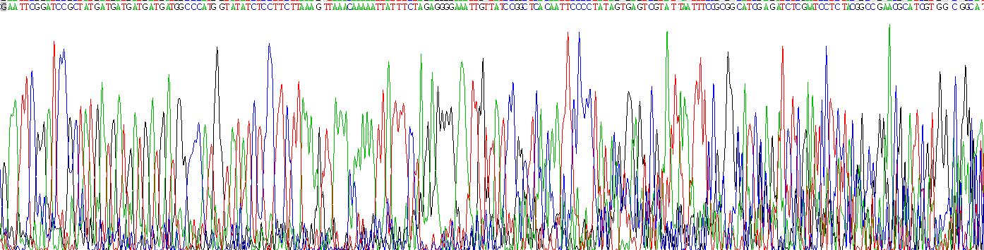 Recombinant Cytochrome P450 1A2 (CYP1A2)