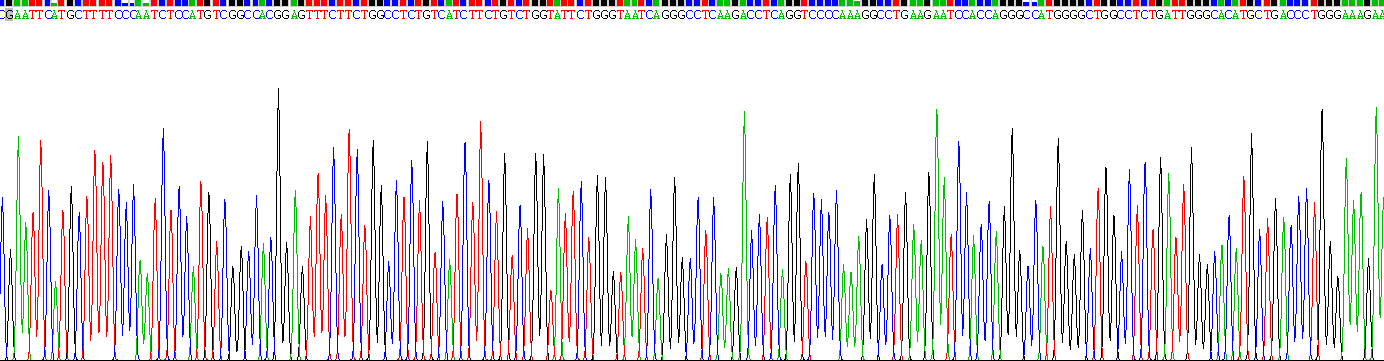 Recombinant Cytochrome P450 1A1 (CYP1A1)