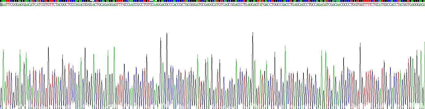 Recombinant Cytochrome P450 Reductase (CPR)