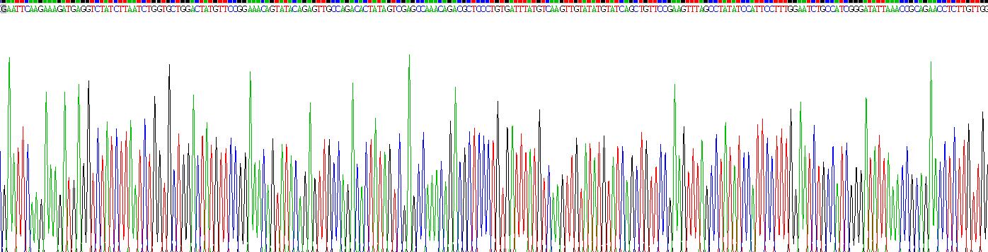 Recombinant Glycogen Synthase Kinase 3 Beta (GSK3b)