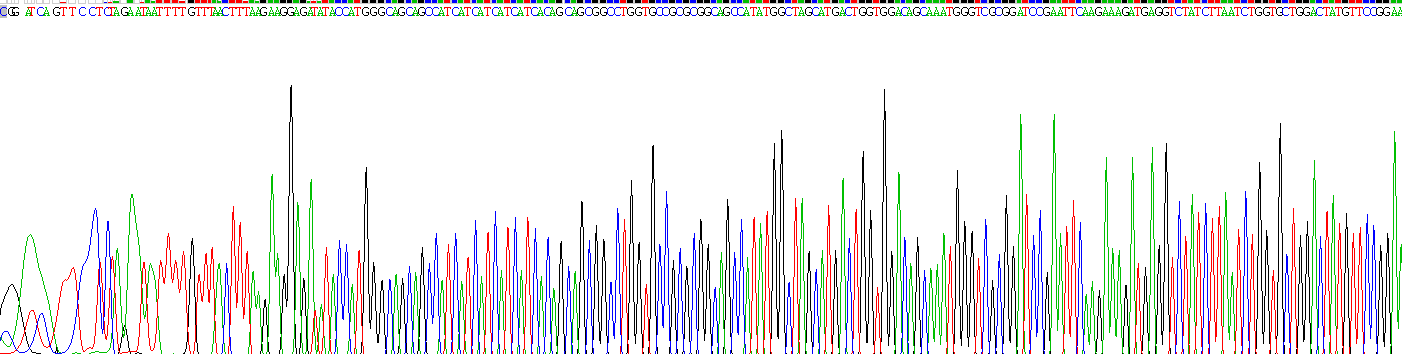 Recombinant Glycogen Synthase Kinase 3 Beta (GSK3b)