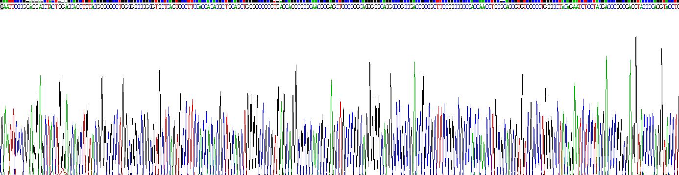 Recombinant Interleukin 17D (IL17D)