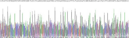 Recombinant Interleukin 17C (IL17C)