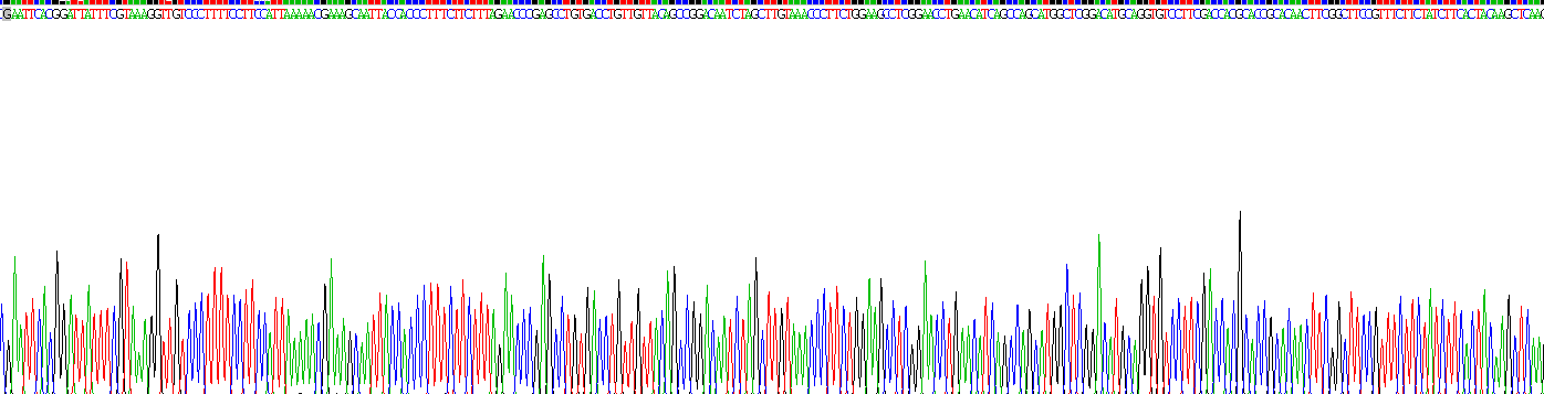 Recombinant Interleukin 17 Receptor D (IL17RD)