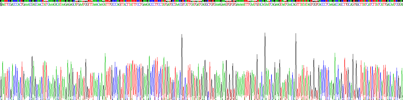 Recombinant Protein Kinase, AMP Activated Alpha 2 (PRKAa2)