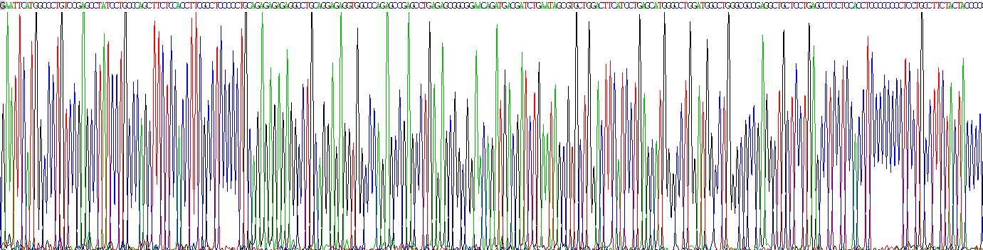 Recombinant Kruppel Like Factor 2, Lung (KLF2)