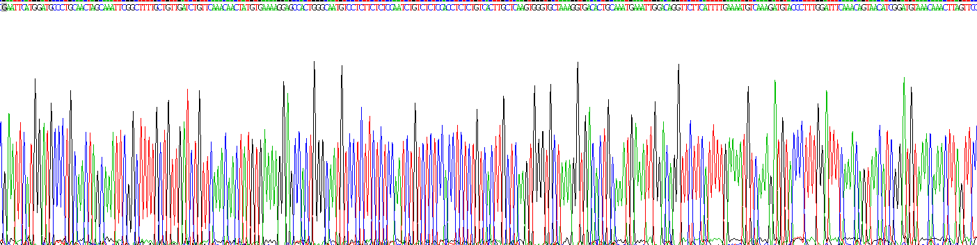 Recombinant Mammary Serine Protease Inhibitor (Maspin)