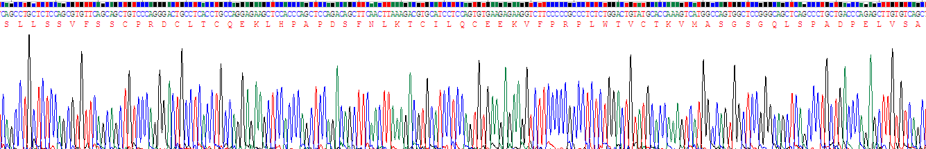 Recombinant Pronociceptin (PNOC)