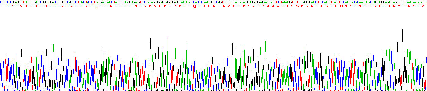 Recombinant Dickkopf Related Protein 3 (DKK3)