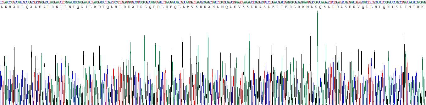 Recombinant Myosin Heavy Chain 4, Skeletal Muscle (MYH4)