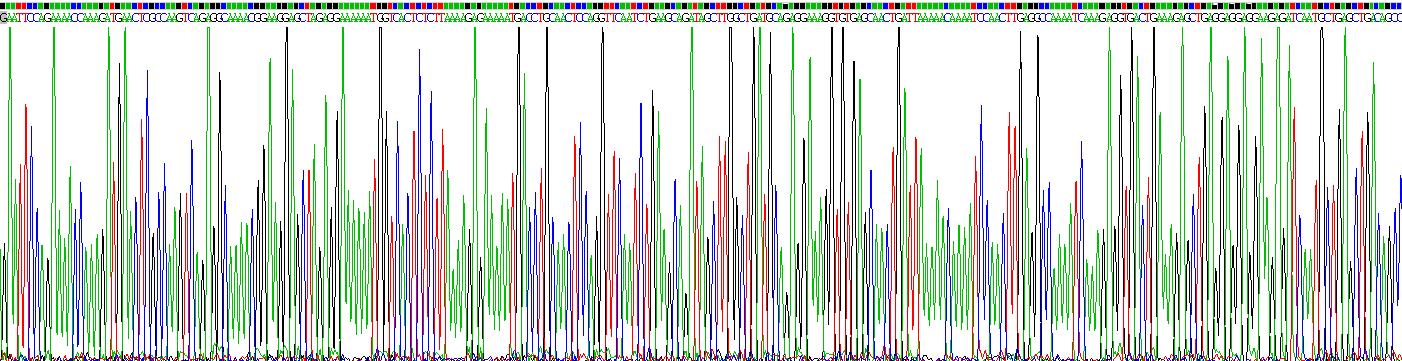 Recombinant Myosin Heavy Chain 8, Skeletal Muscle, Perinatal (MYH8)