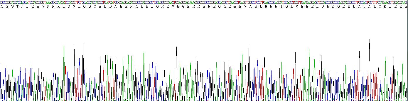 Recombinant Tropomyosin 3 (TPM3)