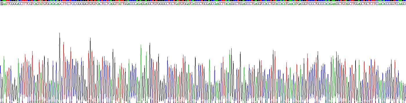 Recombinant Pappalysin 2 (PAPPA2)