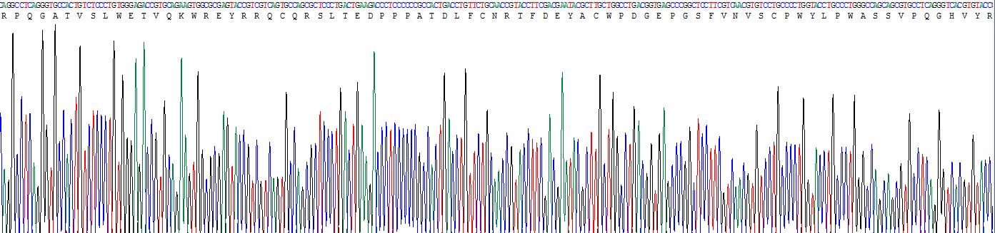 Recombinant Glucagon Like Peptide 1 Receptor (GLP1R)