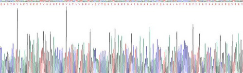 Recombinant Apolipoprotein L2 (APOL2)