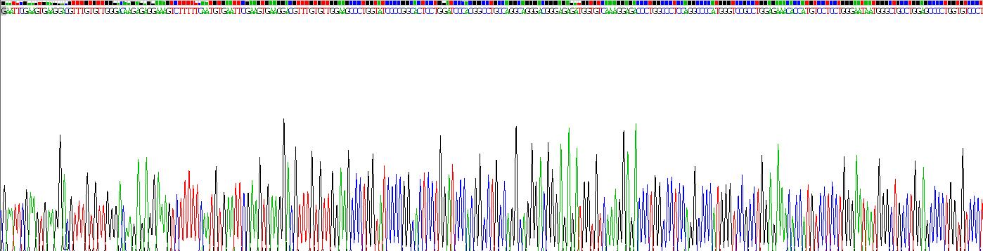 Recombinant Surfactant Associated Protein A2 (SPA2)