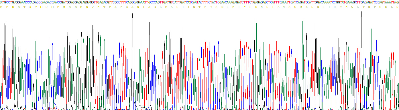 Recombinant Heat Shock Protein 90kDa Alpha A1 (HSP90aA1)