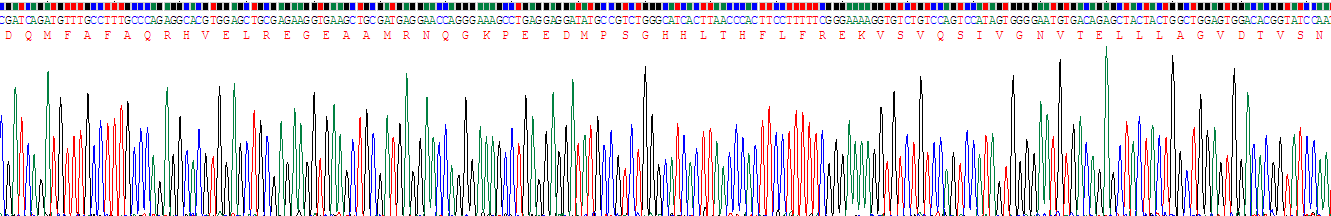 Recombinant Cytochrome P450 27B1 (CYP27B1)