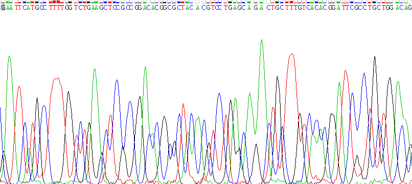 Recombinant Protein Tyrosine Phosphatase, Non Receptor Type 14 (PTPN14)