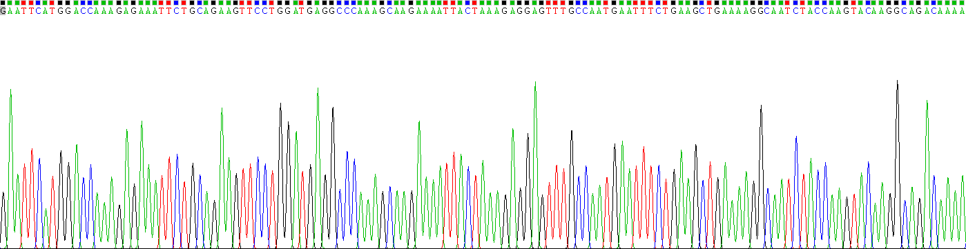 Recombinant Protein Tyrosine Phosphatase, Non Receptor Type 22 (PTPN22)