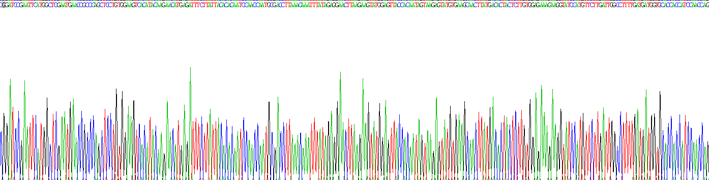 Recombinant Protein Tyrosine Phosphatase Type IVA 1 (PTP4A1)