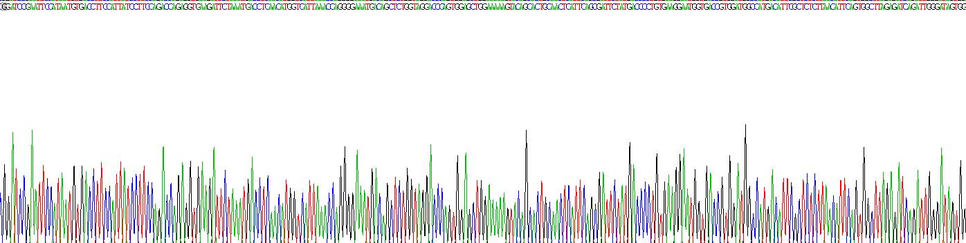 Recombinant ATP Binding Cassette Transporter B11 (ABCB11)