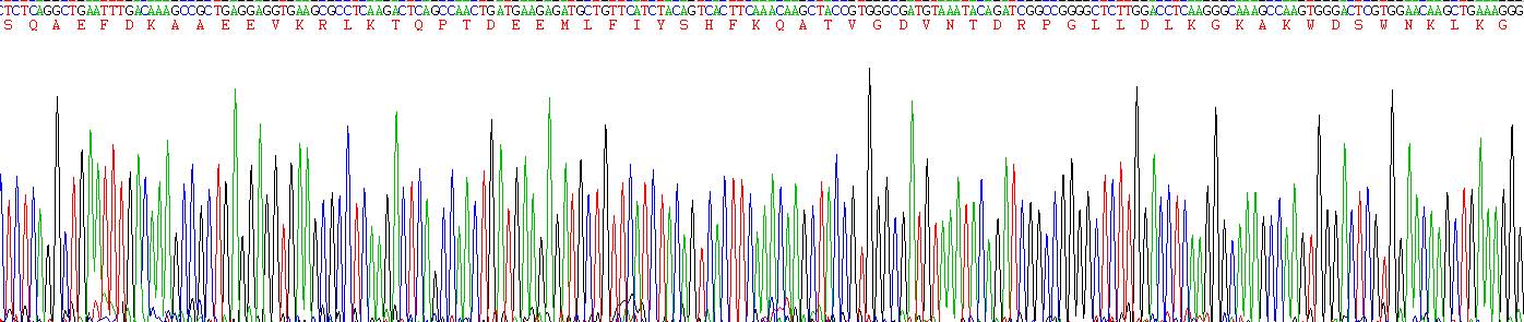 Recombinant Diazepam Binding Inhibitor (DBI)