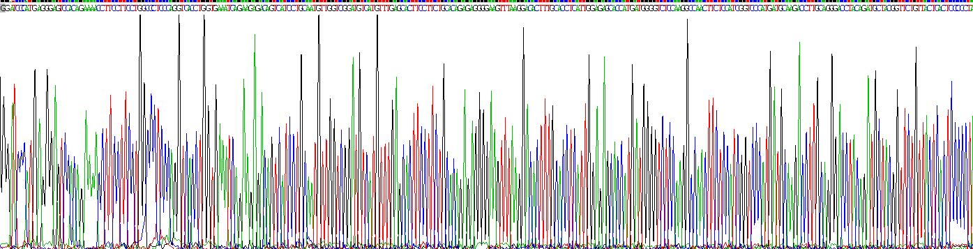 Recombinant Killer Cell Immunoglobulin Like Receptor 2DL3 (KIR2DL3)