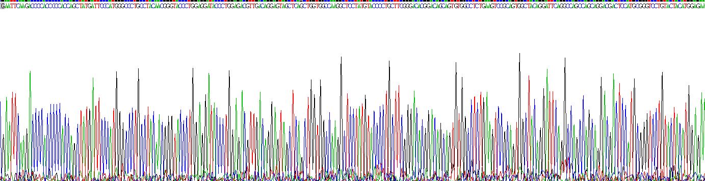 Recombinant Lipolysis Stimulated Lipoprotein Receptor (LSR)