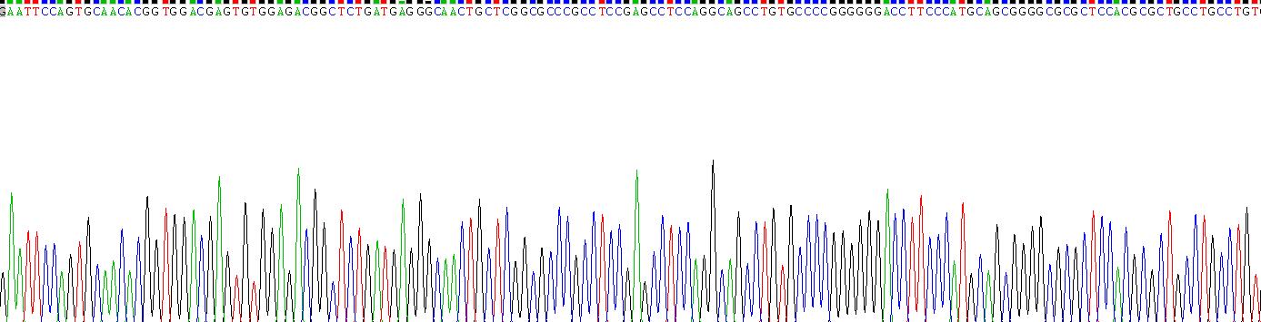 Recombinant Low Density Lipoprotein Receptor Related Protein 3 (LRP3)