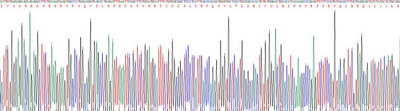 Recombinant Tryptase Beta 2 (TPSb2)