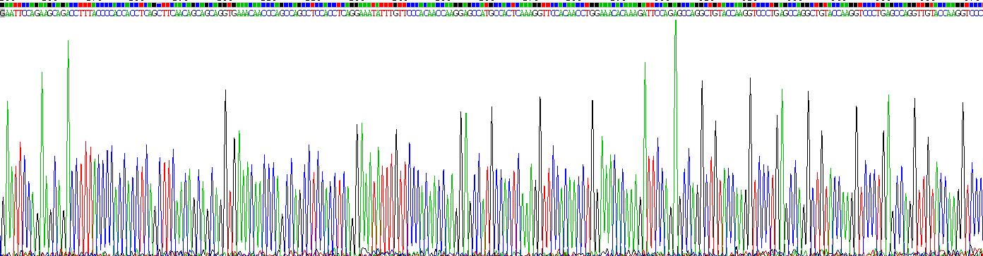 Recombinant Small Proline Rich Protein 3 (SPRR3)