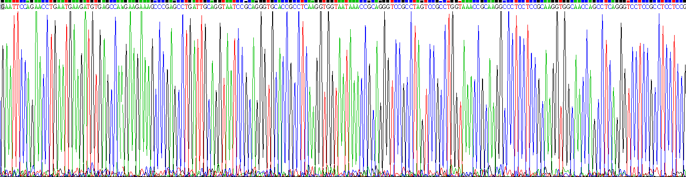 Recombinant Basic Salivary Proline Rich Protein 2 (PRB2)