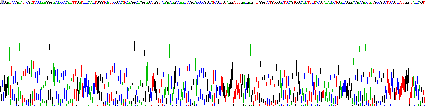 Recombinant Thrombospondin 2 (THBS2)