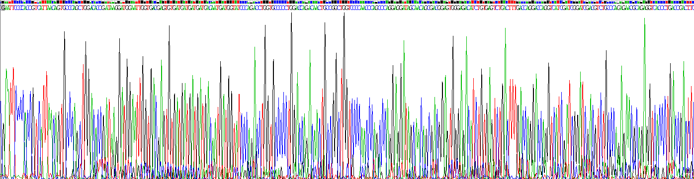 Recombinant Thrombospondin 4 (THBS4)