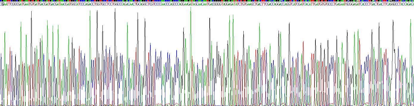 Recombinant Thrombospondin 4 (THBS4)