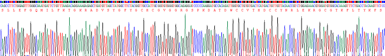 Recombinant Phospholipase A2, Group IIA (PLA2G2A)