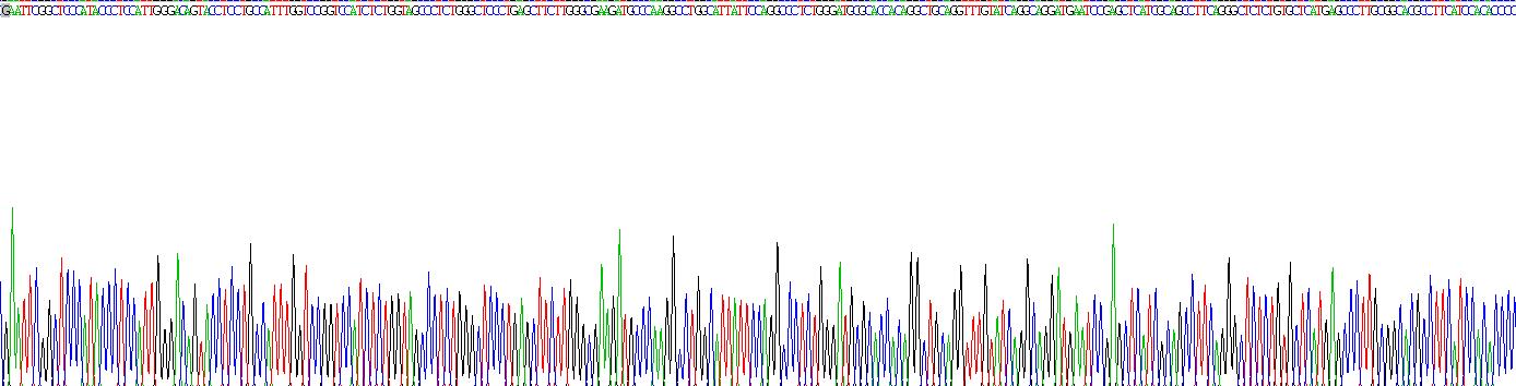 Recombinant Phospholipase A2, Group III (PLA2G3)