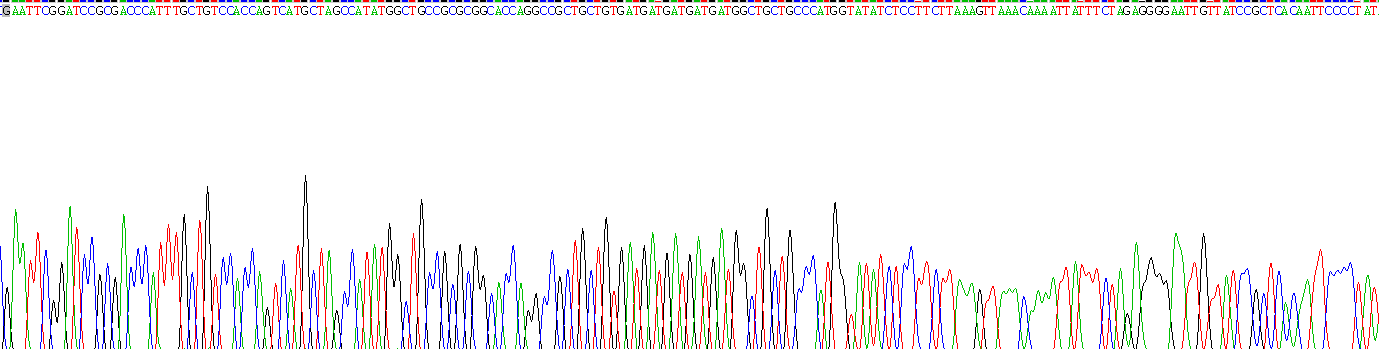 Recombinant Phospholipase A2, Group V (PLA2G5)