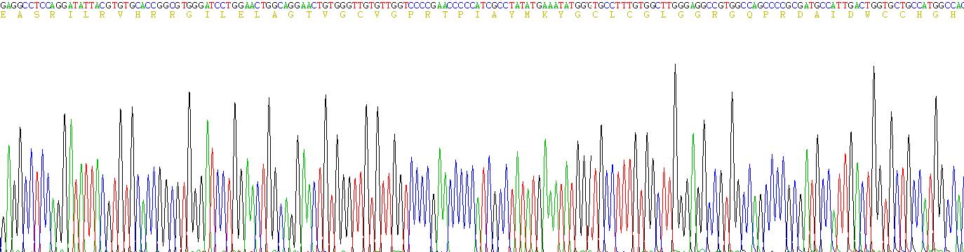 Recombinant Phospholipase A2, Group X (PLA2G10)