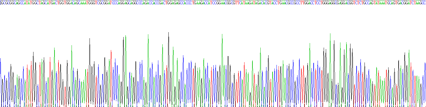 Recombinant Phospholipase A2, Group XII (PLA2G12)