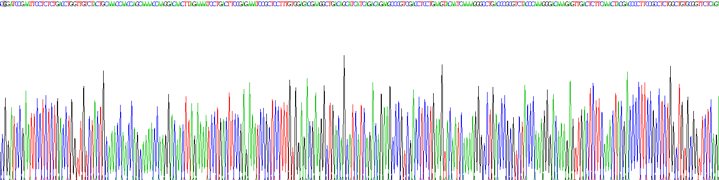 Recombinant Phospholipase C Gamma 2, Phosphatidylinositol Specific (PLCg2)