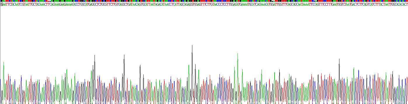 Recombinant Phospholipase A2 Receptor 1 (PLA2R1)